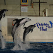 hokkaido_463.jpg