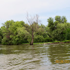 IMG_0293.JPG