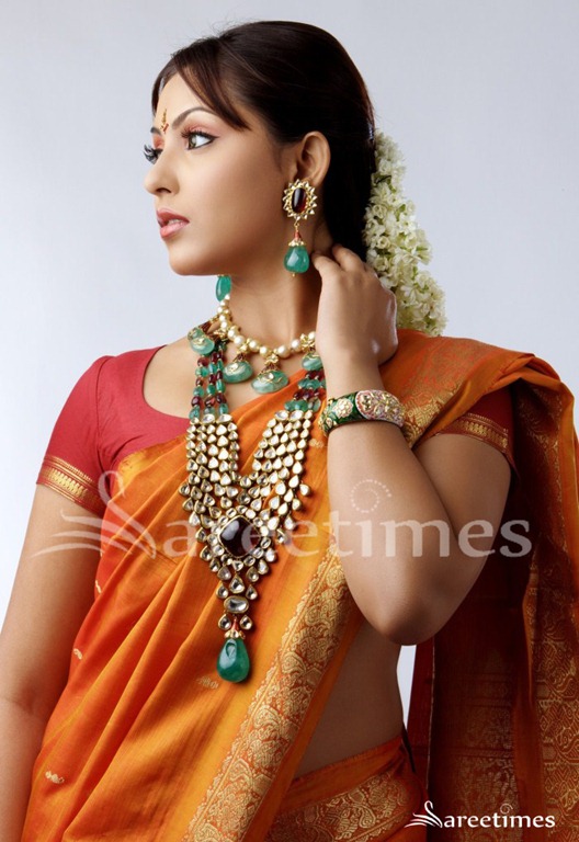 [Madhu_Shalini_Traditional_Saree%255B4%255D.jpg]