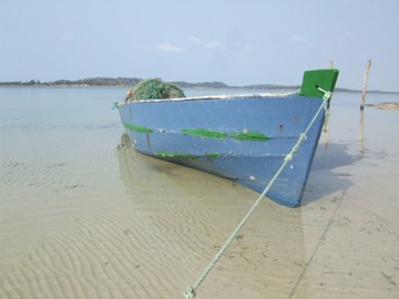 [DSCF8859%255B5%255D.jpg]