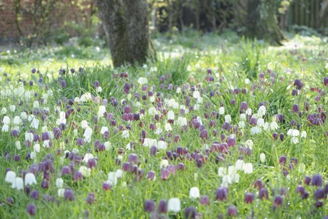 claus20120425_151549
