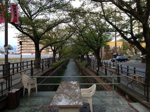 IMG_1685.jpg 葉桜