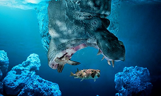 [preview-650x390-1383819698%5B7%5D.jpg]