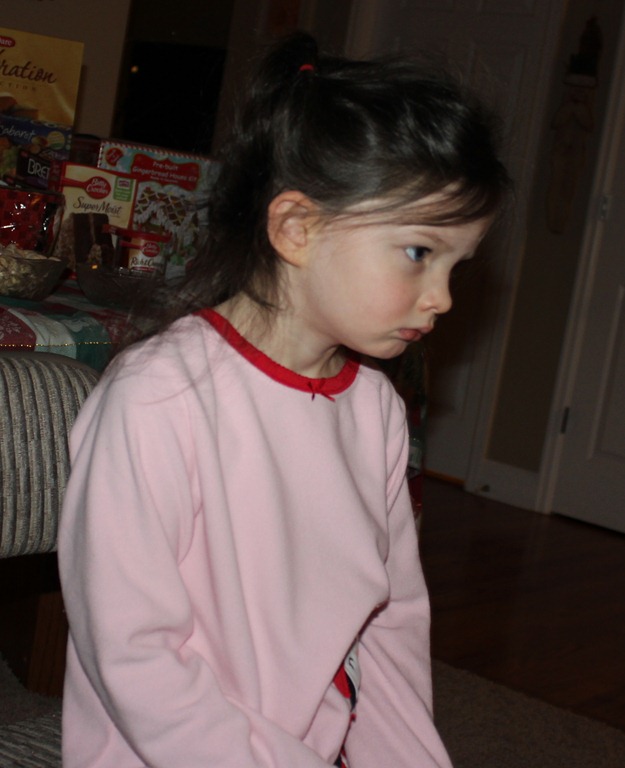 [IMG_3907%255B7%255D.jpg]