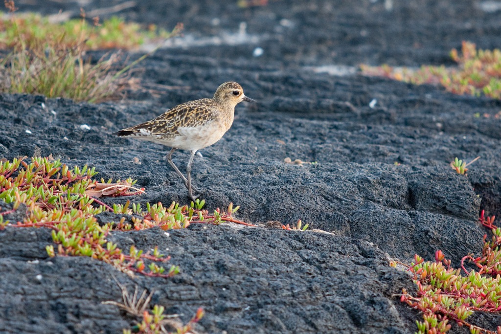 [20121216-IMG_4689-25.jpg]