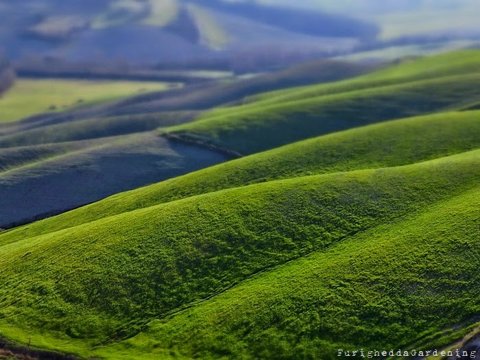 Crete Senesi