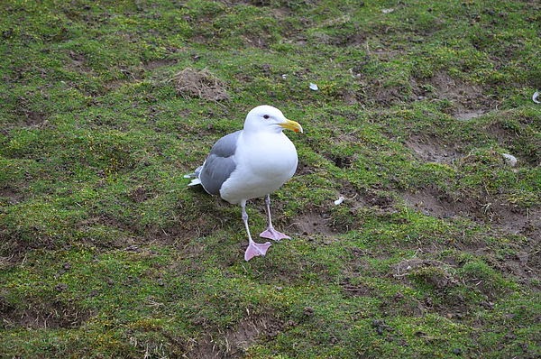 DSC_0333.JPG DSC_0333.JPG