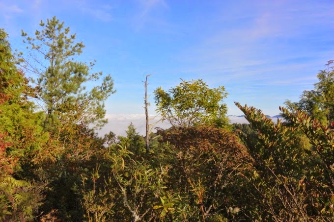 2014_1005_064825 2014_1005_064825