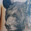 Bear #4
