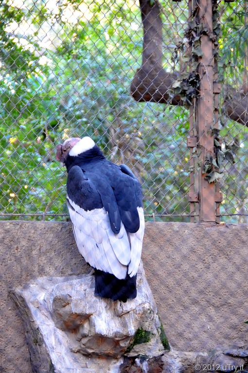 [DSC_3603edited%255B2%255D.jpg]