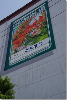 IMGP1852 IMGP1852