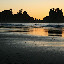 Shi-Shi Beach, WA 7