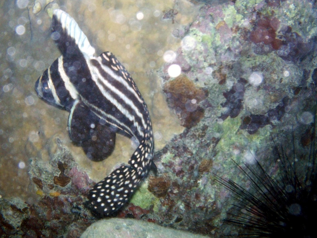 [100_0889%255B3%255D.jpg]