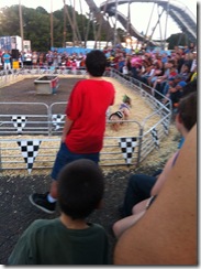 Pig Races 2012