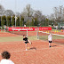 image_from_picasa