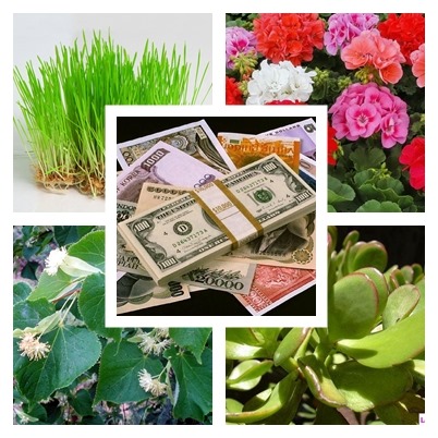 [page%255B4%255D.jpg]