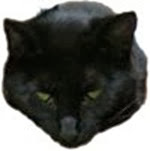 OnyxHead OnyxHead