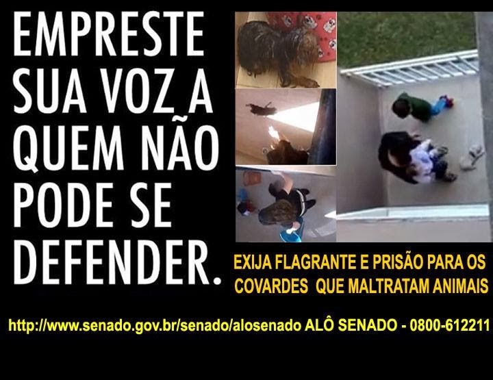 [alo-senado%255B3%255D.jpg]