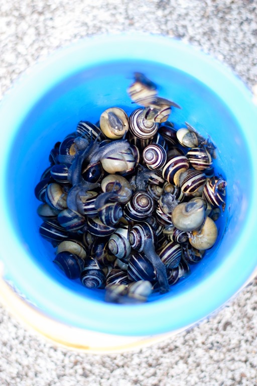 [20130403-IMG_7523-2%255B3%255D.jpg]