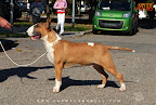 Karmacoma Fun-Da-Panda 8 months