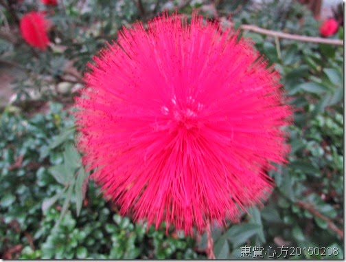 IMG_0546 IMG_0546