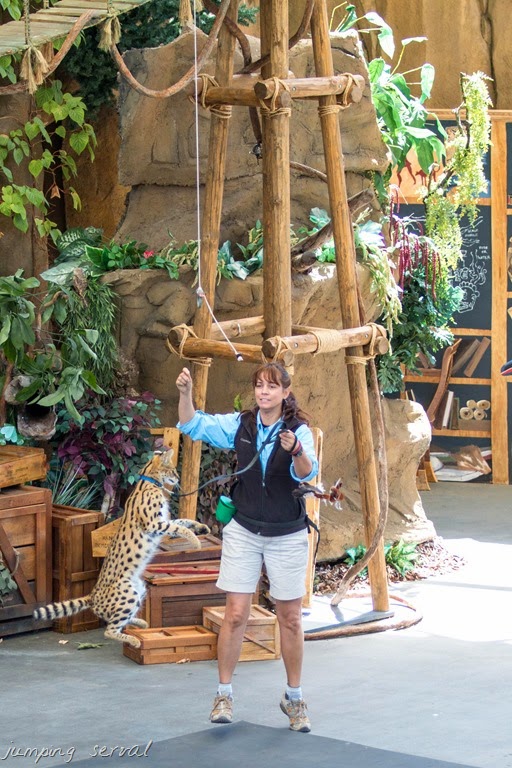 [IMG_0117%255B2%255D.jpg]