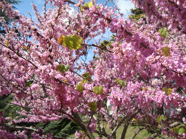 [DSC07471%255B2%255D.jpg]