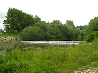 IMG_7391.JPG Photo