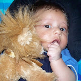 Daniel and the Lion