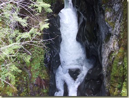 DSCF7258