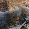 dsc06315.jpg