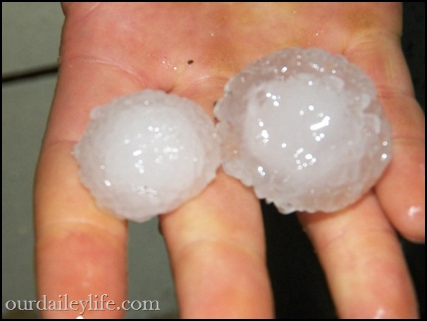 minnesota golf ball sized hail