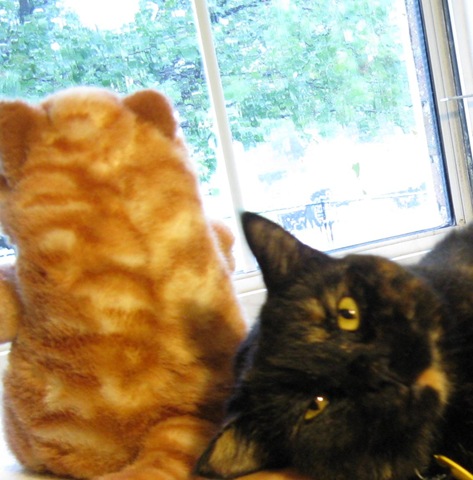 [IMG_8580CROPPED%255B2%255D.jpg]