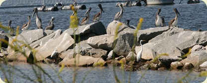 IMG_3319 IMG_3319