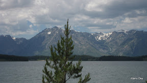 IMG_4214.jpg
