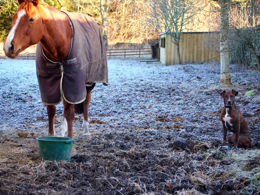 [25%2520Dec%25206-001%255B3%255D.jpg]