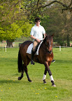 After a long journey in the lorry, the horse and rider get to relax and strech their legs