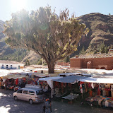 P5293427.JPG
