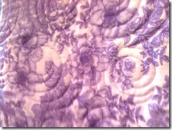 Danielle's quilt back