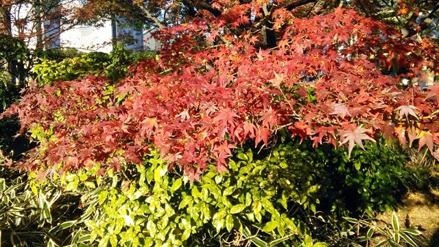 [IMG_20131130_143340%255B5%255D.jpg]