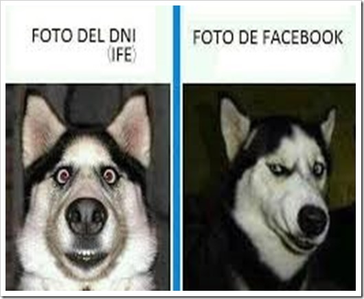 humor para whatsapp´ (1)_thumb humor para whatsapp´ (1)_thumb