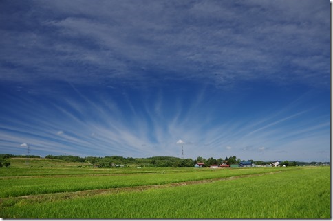 IMGP5620 IMGP5620