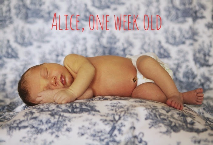 20141104 Alice is one week (8) edit2