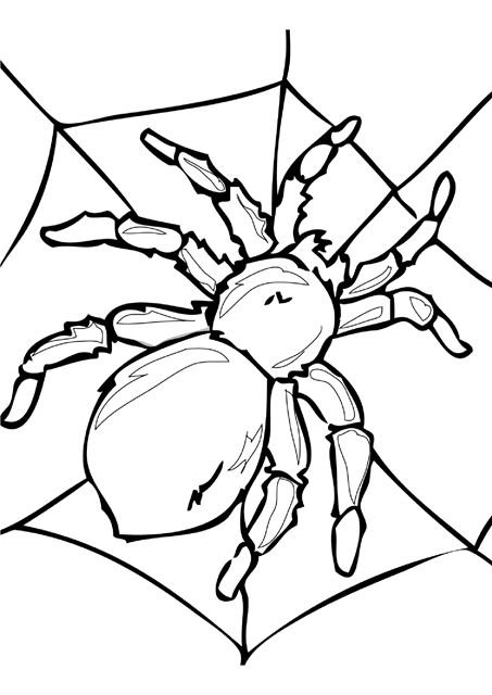 [insects_coloring_pages%2520%252810%2529%255B1%255D.png]