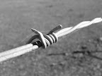 IMG_20120104_144402.jpg