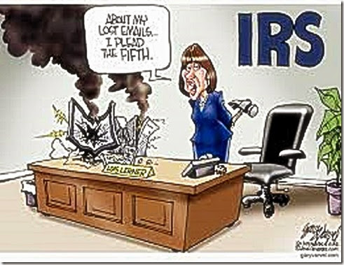 Lerner Destroys Hard Drive - 5th Amendment toon