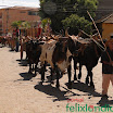 DesfiledeCarrosdeBois2011-079.jpg