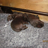 IMG_1238.JPG
