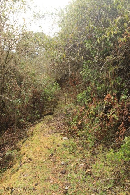 [IMG_6897%255B10%255D.jpg]