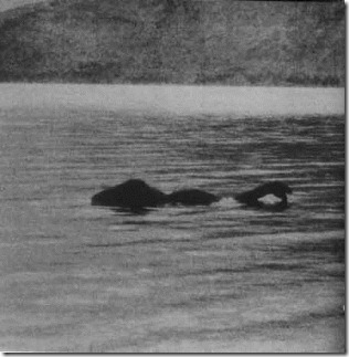 lochness2011 lochness2011